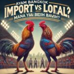 Ayam Bangkok Import vs Lokal: Mana yang Lebih Baik?